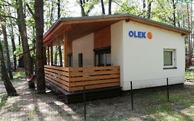 Olek